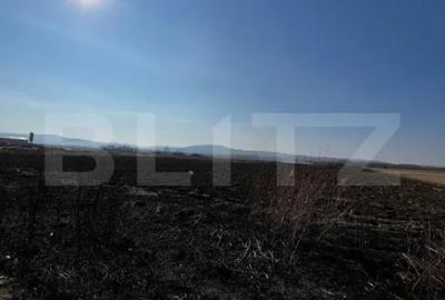 Teren de 19100 mp, în Beclean - 1