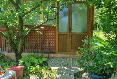 Casă cu 4 camere cu Teren 2093 Mp în Murgești - 1