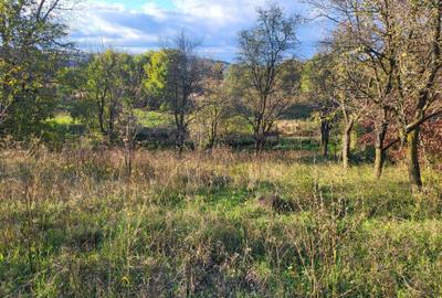 Spațiu comercial, în Deleni - 1
