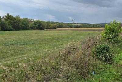 Teren de 58000 mp, în Mărtinești - 4