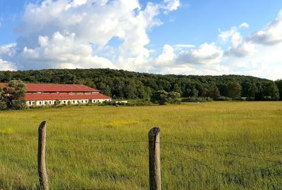 Destinație mixtă (restaurant, showroom, manej) - Herneacova - 2