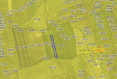 Teren de 6000 mp, în Vârlezi - 5
