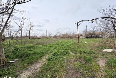 Casă cu 4 camere cu Teren 3747 Mp în Pantelimon - 10