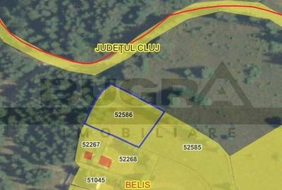 Teren intravilan, 1400 mp, Balcesti, Belis - 2