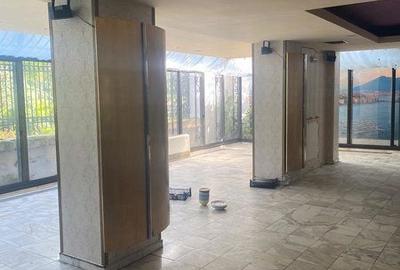Spațiu comercial, de 230 mp, în Unirii - 15