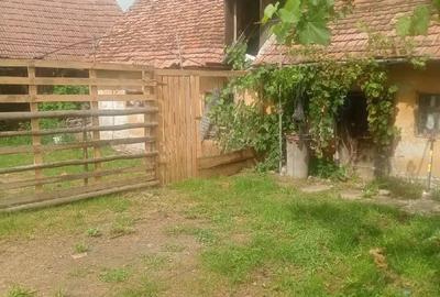 Casă în Central - 3