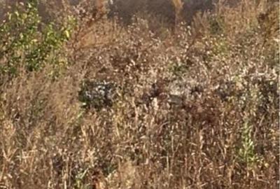 Spațiu comercial, în Căciulați - 2