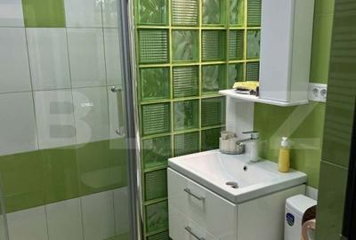Apartament cu 2 camere, mobilat în Păcurari - 4