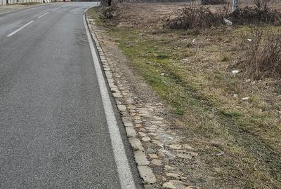 Spațiu comercial, în Eșelnița - 7