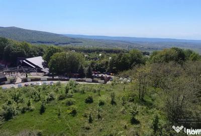 Teren de 850 mp, în Pietrărie - 6