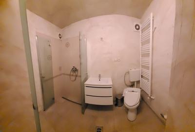 Casa de vanzare / Ultracentral / Zona Unirii - Marasesti direct proprietar Casa de vanzare / Ultracentral / Zona Unirii - Marasesti direct proprietar - 12