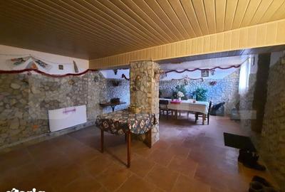 Spațiu comercial, de 500 mp, în Bucium - 8