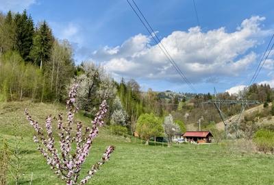 Teren panoramic insorit, utilitati, panta mica si padure, turism sau vacanta - 8