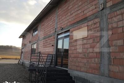 Spațiu comercial, de 1,100 mp, în Dumitra - 18