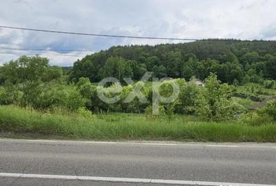 Teren în Podiș - 4