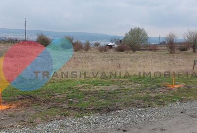 Teren intravilan cart Dambul Rotund Cluj-Napoca 3500mp Teren intravilan cart Dambul Rotund Cluj-Napoca 3500mp - 2