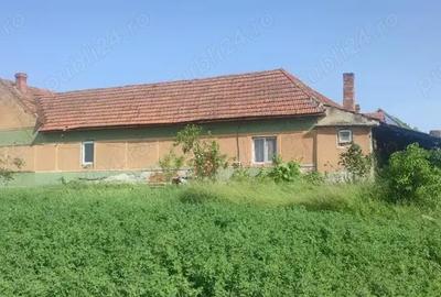 Casă cu 6 camere cu Teren 3000 Mp în Balinț - 8