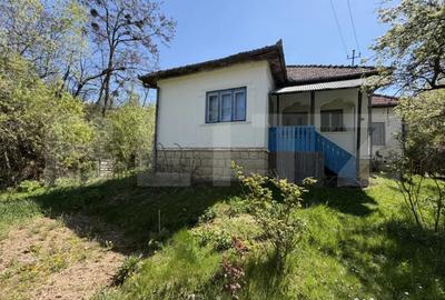 Casă cu 4 camere cu Teren 5000 Mp în Petrindu - 10