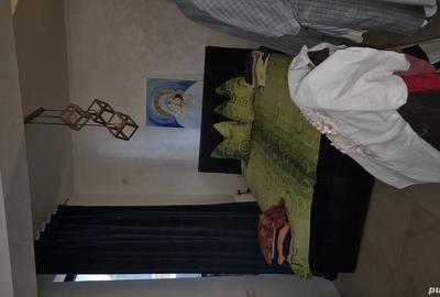 Tomis Mall ultracentral casa p+1+m - 4