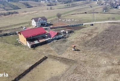 Teren de 3591 mp, în Aghireșu - 7