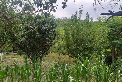 Casă cu 3 camere cu Teren 1700 Mp în Izvoarele - 9