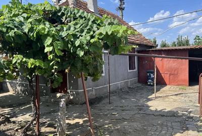 Casă cu 2 camere în Micălaca - 1