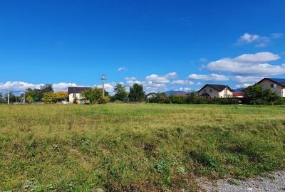 Spațiu comercial, în Cărpiniș - 3