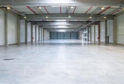 Hala industriala pentru inchiriat , 4227mp, Jucu - 2