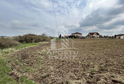 Parcele 550 mp, PUZ nou, langa case construite, asfalt, SAG-Manastire - 2