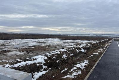 RECO teren intravilan Biharia - 3