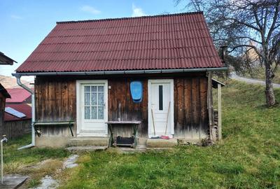 Casă cu Teren 1400 Mp în Moisei - 8