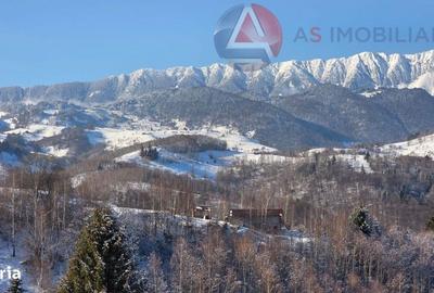 Spațiu comercial, în Drumul Carului - 13