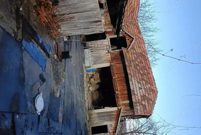 Casă cu Teren 5000 Mp în Roșia de Amaradia - 7