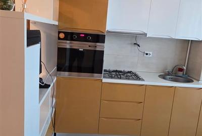 Apartament cu 2 camere semidecomandat, mobilat în Podu Roș - 8