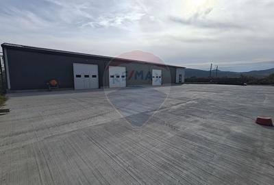 Hala noua 555mp, curte betonata 1000mp, zona de est, de inchiriat - 4