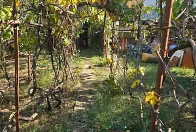 Casă cu 4 camere cu Teren 500 Mp în Freidorf