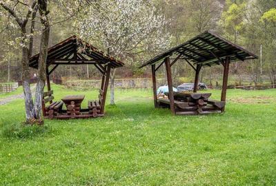 Spațiu comercial, de 719 mp, în Scrind-Frăsinet - 4