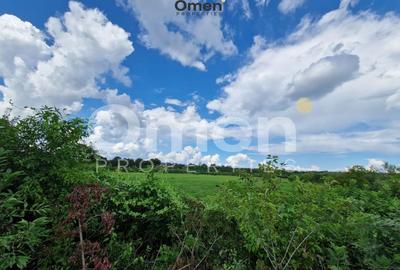 Teren agricol extravilan de 12000 mp, în Hideaga - 4