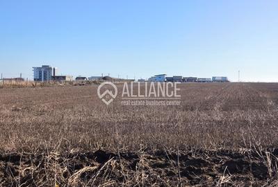 Teren Construcții intravilan de 12600 mp, în Nord - 6