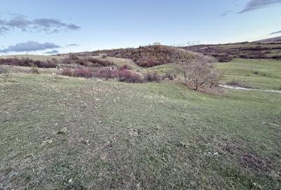 Teren Intravilan cu panorama in Borhanci Str Colonia Sopor 1000mp+85mp cota drum - 5