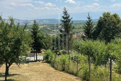 Casa cu 3 camere si teren | 111mp utili 450mp teren | Daia Noua | EXCLUSIVITATE - 7