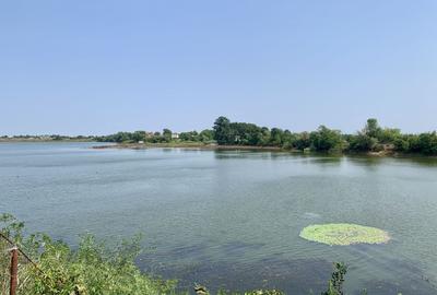 Teren agricol intravilan de 45000 mp, în Crevedia - 1