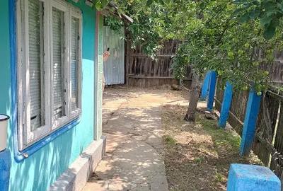 Vind casa in satul bradesti com vinderei jud vaslui ! - 3