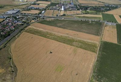 Tern intrevilan 4003 mp - 2