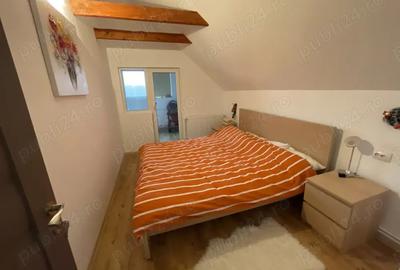 Vand cabana la Belis - 5