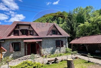 Pensiune cu 13 camere de vanzare in Bulz - 48