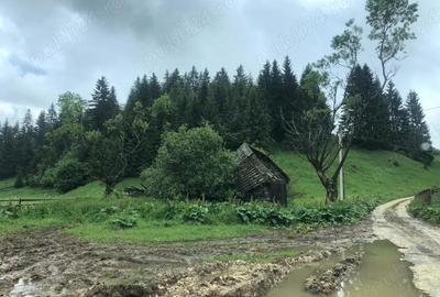 Teren de 2988 mp, în Fundata - 2