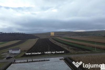 Teren de 14066 mp, în Mihoveni - 13