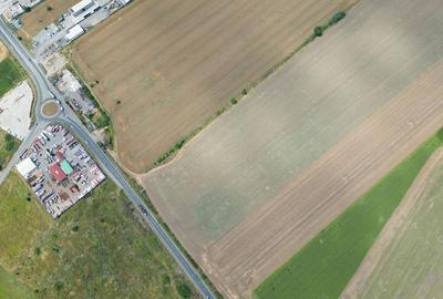 Teren extravilan 12.000 mp DN79 Arad-Oradea - 12