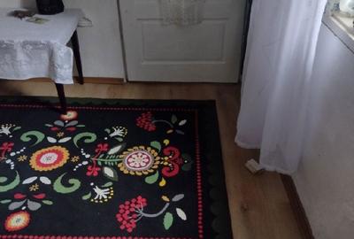 Casă cu 2 camere în Sfăcăru - 5